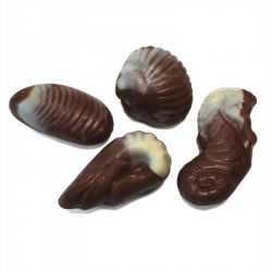 Fruit de mer praliné au chocolat au lait et sans sucre ajouté