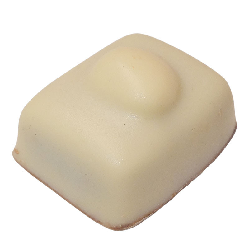 Sphinx chocolat sans sucre praliné Sphinx chocolat sans sucre praliné