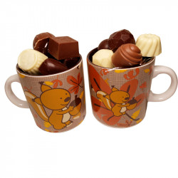 Mug Écureuil et chocolats sans sucre