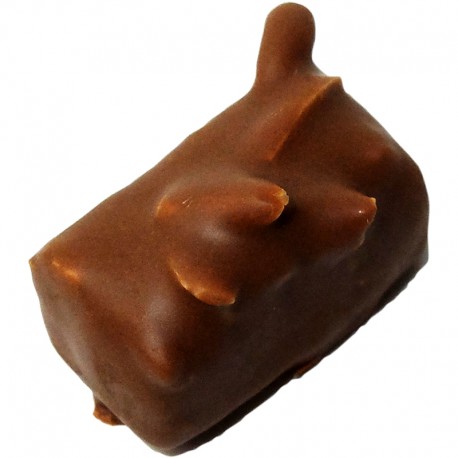 Chocolat Amanda praliné sans sucre Chocolat Amanda praliné sans sucre